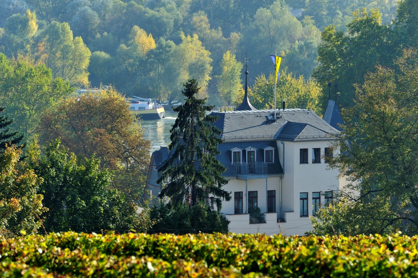 Bild: Das Weingut in Eltville-Hattenheim