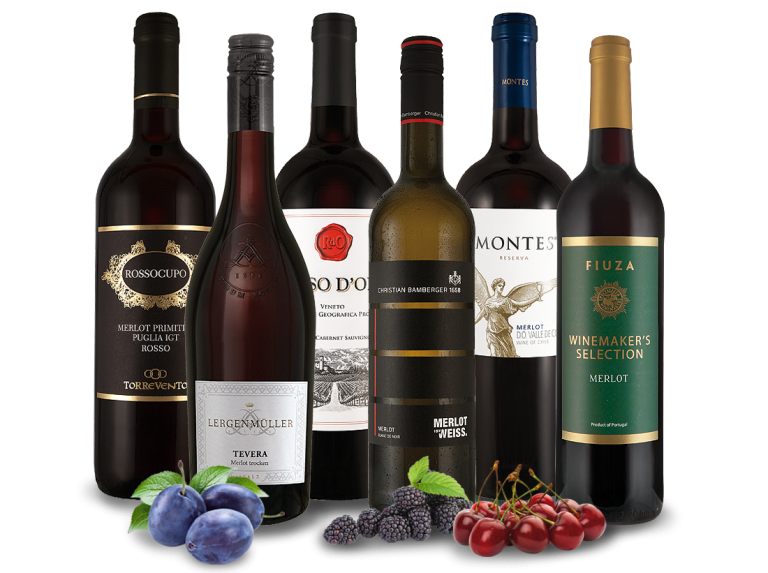 in - große kaufen günstig Aktion Das Merlot-Weinpaket Angebote