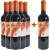 Viñedos y Bodegas Lyng 2020 5+1 Paket Viña Anfi Crianza Rioja DOCa