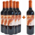 Viñedos y Bodegas Lyng 2019 5+1 Paket Viña Anfi Crianza Rioja DOCa