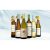 Blanco-Favoriten  4.5L Weinpaket aus Spanien