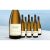 Siete Valles Chardonnay 2023  7.5L 13% Vol. Weinpaket aus Spanien